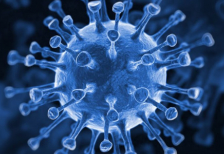 Ресейде коронавирустың жаңа мутациясы тіркелді