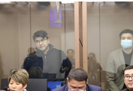 Бишімбаев Салтанаттың иегінен қан аққанда неге жедел жәрдем шақырмағанын айтты