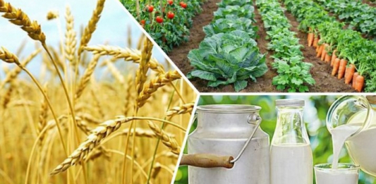 Соңғы 5 жылда тіркелген ауыл шаруашылығы кооперативтерінің саны 53%-ға өсті