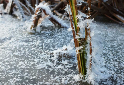 Еліміздің кей өңірлерінде үсік жүреді 