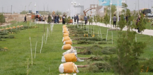 «ТАЗА ҚАЗАҚСТАН»: Түркістанда 2 мың түптен астам ағаш көшеті отырғызылды