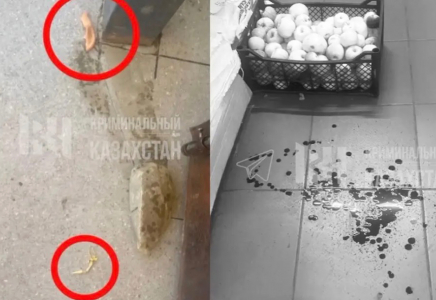 ШҚО-да ер адам экс-әйеліне пышақпен шабуыл жасап, құлағының жартысын кесіп алған 