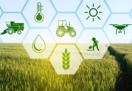 ҚР Ауыл шаруашылығы министрлігі «Е-АӨК» бірыңғай цифрлық экожүйесін қалыптастыру стратегиясын әзірлеп жатыр