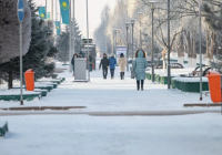 "Түкірігін ішкізеді": депутат адамды қорлайтын тренингтерді тоқтатуды талап етті