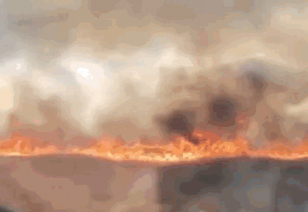 Каспий жағалауында ірі өрт шықты