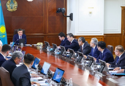 Премьер-министр: Жаңа Конституция жобасы – болашаққа бағдарланған прогрессивті құжат