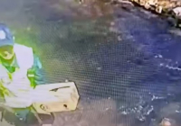 ​Шымкентте полицейлер мұздай суға түсіп кеткен марғауларды құтқарып қалды