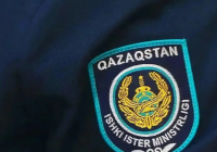 Алматыда жасөспірім қызды соққыға жыққандардың үстінен қылмыстық іс қозғалды