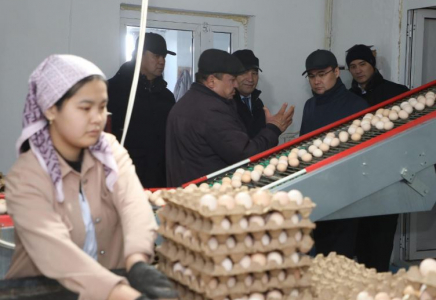 ТҮРКІСТАН: Ералы Тоғжанов Сарыағаштағы инфрақұрылымдық және агроөнеркәсіптік жобалармен танысты