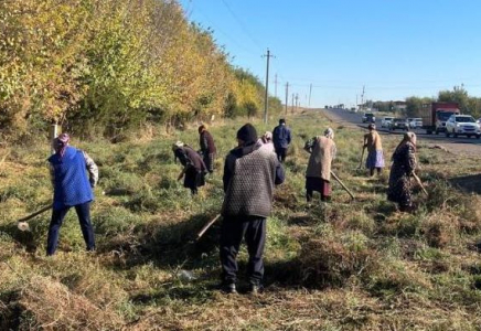 ТҮРКІСТАН: Сарыағашта екі мыңға жуық адам сенбілікке атсалысты