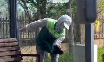 ​ТАЗА ҚАЛА – ЖАЙЛЫ ОРТА: Шымкент көшелерінде кешенді тазалық жұмысы жүруде