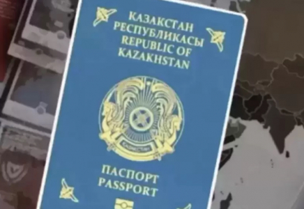 Қазақстанда азаматтықтан айыру себептерін Конституцияда бекітілмек