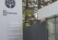 Алматыда аққуға қатыгездік көрсеткен ер адам 7 тәулікке қамалды