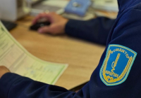 Ресейден әкелінген ағаштан қауіпті карантиндік зиянкес анықталды