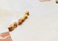 350 мыңнан астам бала "Ханталапай" ойнады