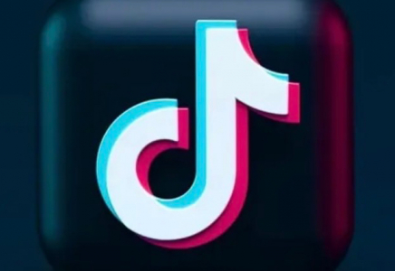 TikTok-тағы тікелей эфир: Тараз тұрғыны бес тәулікке қамауға алынды