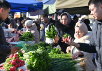 ​Қолжетімді баға, сапалы өнім: Шымкенттегі сенбілік жәрмеңкелер өтуде