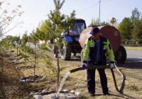 «ТАЗА ҚАЗАҚСТАН»: Түркістан облысында «Таза қала» және «Таза ауыл» акциялары өтті