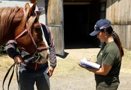 Көшпенділер ойындарына қатысатын спортшылар мен жылқыларға 3 ай бойы тексеру жүргізіледі