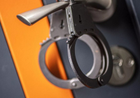 Қостанай облысында ерлі-зайыпты ветеринарлық анықтаманы қолдан жасаған