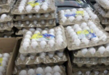 Елге тауық жұмыртқаларын әкелуге уақытша тыйым салынды