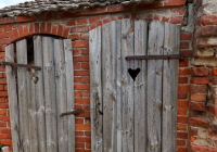 Аузына топырақ толтырып, әжетханаға тастаған: 24 жыл бұрын жасалған қылмыс ашылды