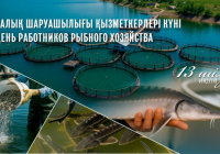 Бүгін - балық шаруашылығы қызметкерлерінің кәсіби мерекесі