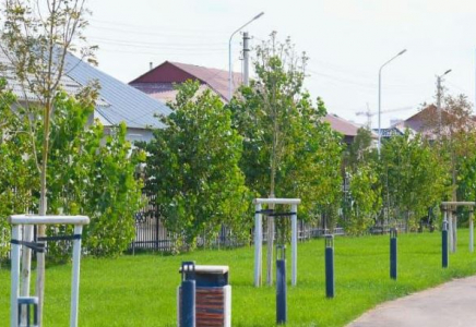 «ТАЗА ҚАЗАҚСТАН»: Түркістан облысында 500 мың түптен астам ағаш егілді