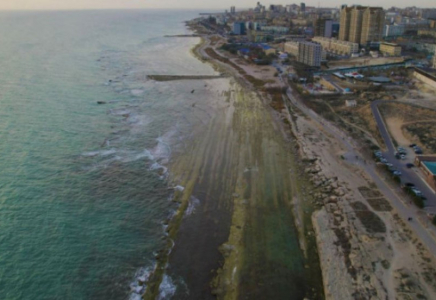 Қазақстанда жаңа институт пайда болады