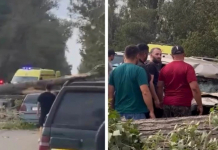 Алматы облысында ағаш құлап, көліктерді басып қалды: Зардап шеккендер бар