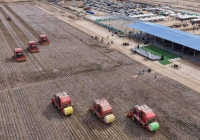 Түркістан облысы ауыл шаруашылығы саласына инвестиция тарту бойынша республикада көш бастап тұр