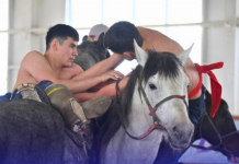 ​НАУРЫЗНАМА АЯСЫНДА: ШЫМКЕНТТЕ АУДАРЫСПАҚТАН АШЫҚ ҚАЛА БІРІНШІЛІГІ ӨТІП ЖАТЫР