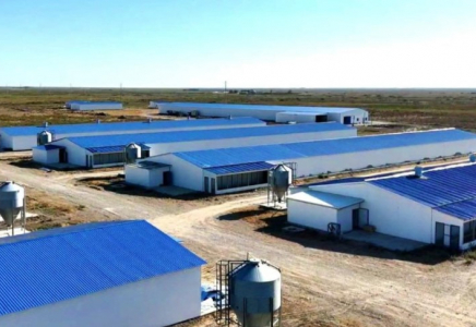 Қызылорда облысында жылына 3,5 мың тонна өнім өндіретін құс фабрикасы іске қосылады