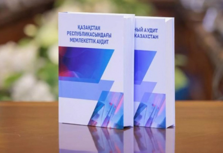 Жоғары аудиторлық палатаның нұсқамаларын орындамаған әкім орынбасарлары жауапқа тартылды