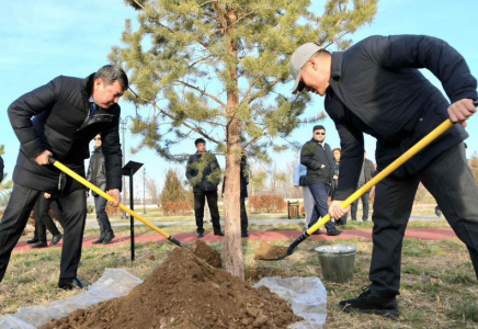 Түркістанда ағаш отырғызу іс-шарасы өтті