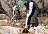 ТҮРКІСТАН: Қазығұртта «Мөлдір бұлақ» акциясына 500-ге жуық тұрғын қатысты