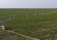 ТҮРКІСТАН: Агроөнеркәсіп кешеніндегі ең өзекті мәселелер талқыланды