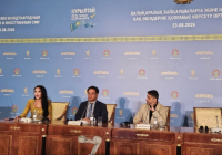 Халықаралық сарапшы Құрылтай сайлауы туралы: қатысу деңгейі өте жоғары