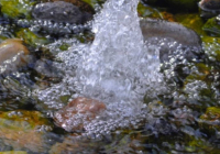 Ұлттық гидрогеологиялық қызмет Қазақстан аумағында 700-ден астам бұлақ анықтады