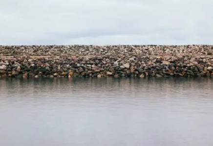 Солтүстік Арал жандануда: су көлемі рекордтық деңгейде ұлғайды