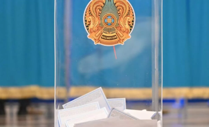 Референдумда 8 млн адам дауыс беріп үлгерді