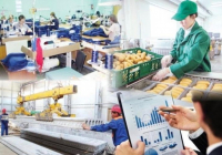 ТҮРКІСТАН: Мүгедектігі бар азаматтарды жұмыспен қамту шаралары жүйелі жүргізіліп жатыр