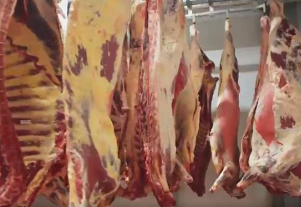 ТҮРКІСТАН: Жалпы құны 43 млрд теңгені құрайтын 5 ірі жоба іске асырылып жатыр