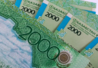 Мұрағат ісі мен ветеринария мамандарына еңбек жағдайы үшін үстемақы белгіленді