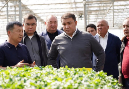 ТҮРКІСТАН: Жылыжайларды тиімді әдіспен жылыту жолдары енгізіліп жатыр