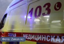 Ақтөбеде жылан шаққан 16 жастағы жасөспірім жансақтау бөліміне түсті