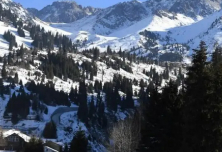 ​Алматы тауларында 5 жасөспірім адасып кеткен