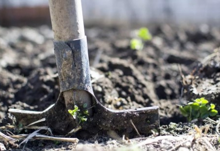 Маман: Вирус марқұмның ағзасында кемі жарты тәулікке дейін сақталады 