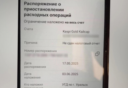 Әкесі салық есебін тапсырмағаны үшін 10 жасар баласының есепшотын бұғаттап тастаған