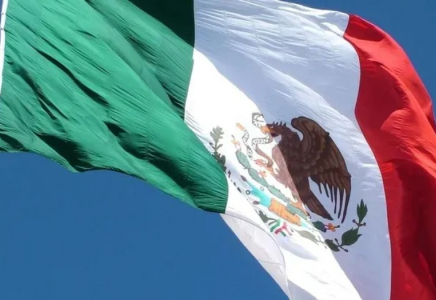 Мексикада депутат әйелдер кеңес отырысында төбелесіп қалды